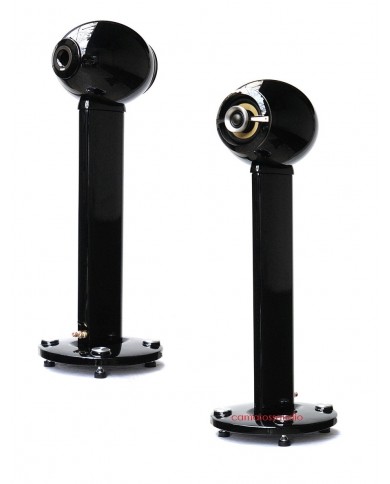 Everything But The Box Venus F