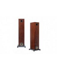 Monitor Audio RX-6 ahşap görünümlü kule tipi hoparlörler, arka bağlantı noktaları ve ayaklar