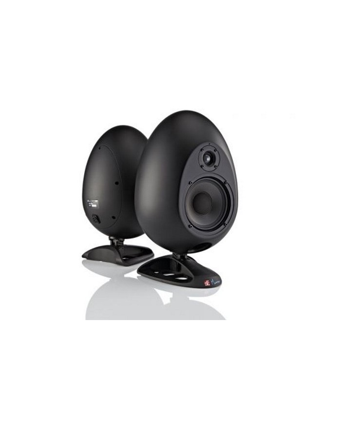 MunroSonic EGG 150 Reference Monitoring System