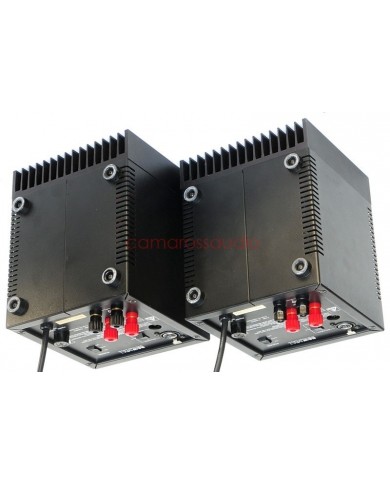 B&W MPA 1 Monoblock Power Amplifier