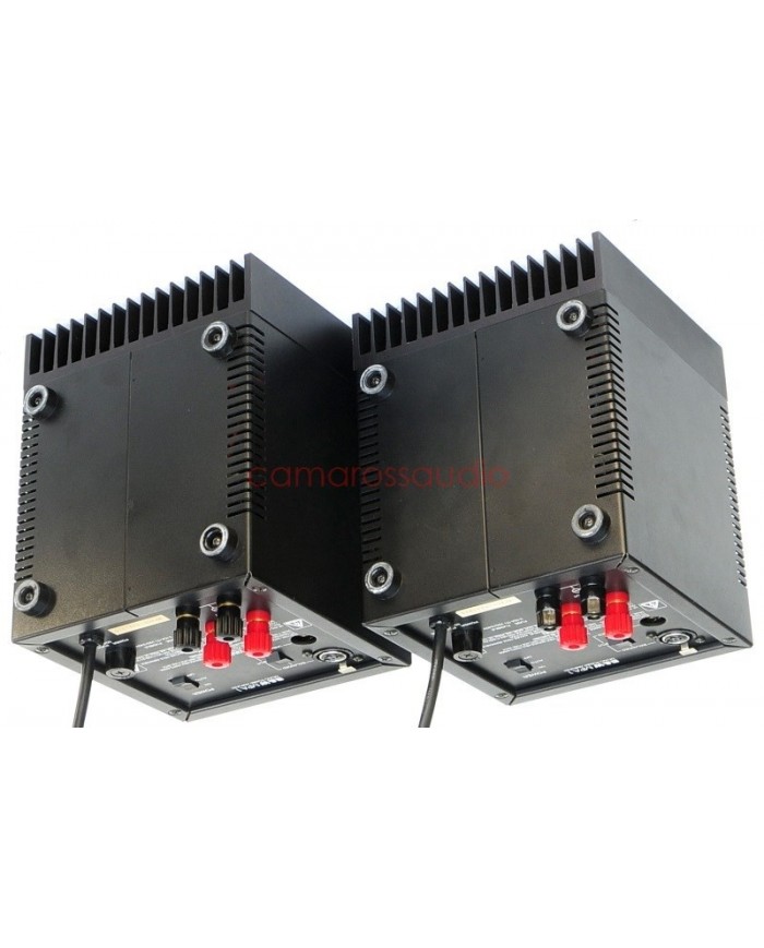 B&W MPA 1 Monoblock Power Amplifier