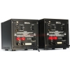 B&W MPA 1 Monoblock Power Amplifier