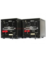 B&W MPA 1 Monoblock Power Amplifier