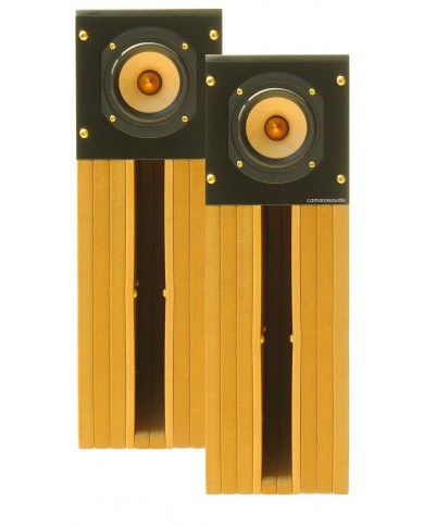 Tang Band D4-1 Back Horn Full Range Tang Band D4-1 Back Horn Full Range