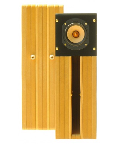 Tang Band D4-1 Back Horn Full Range