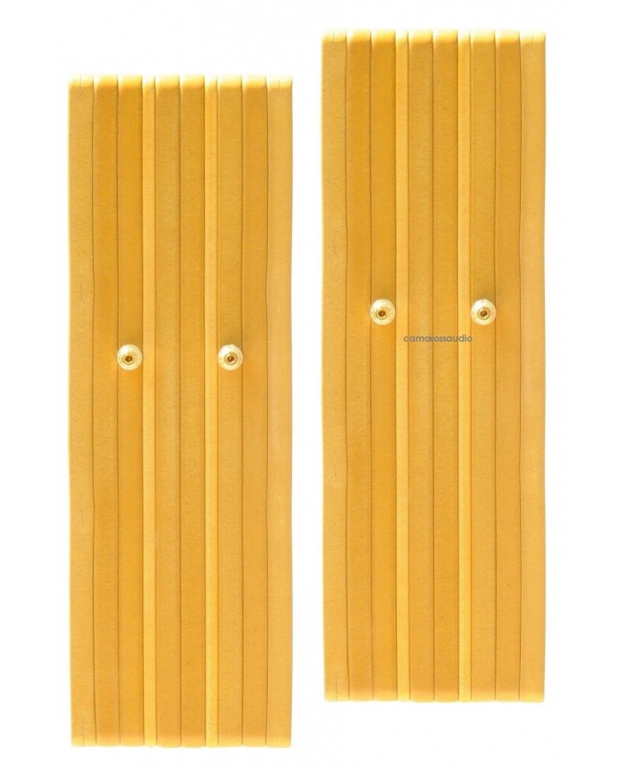 Tang Band D4-1 Back Horn Full Range