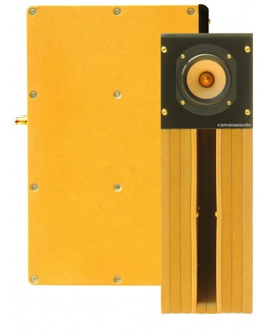 Tang Band D4-1 Back Horn Full Range