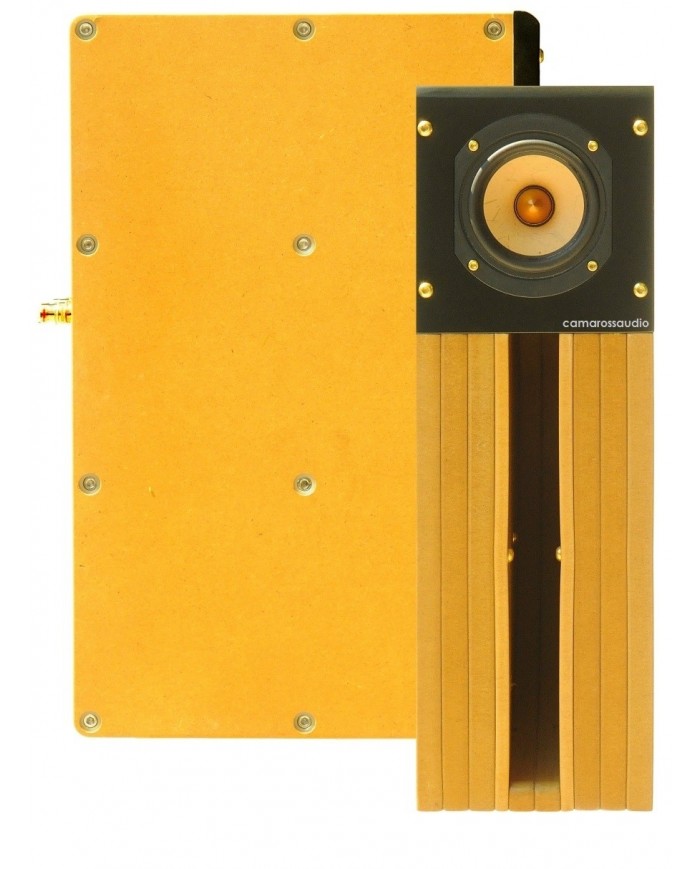 Tang Band D4-1 Back Horn Full Range