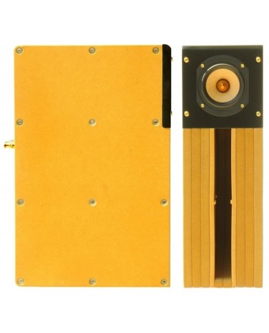 Tang Band D4-1 Back Horn Full Range