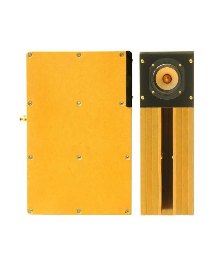 Tang Band D4-1 Back Horn Full Range