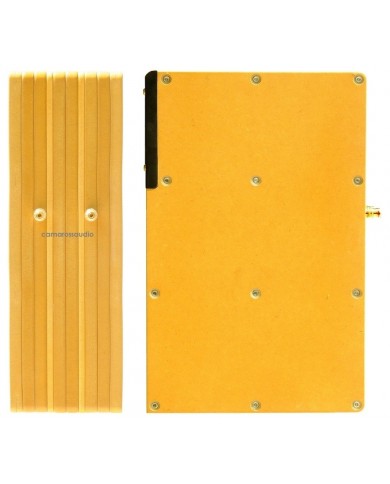 Tang Band D4-1 Back Horn Full Range