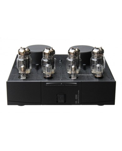 Balanced Audio Technology ( BAT ) VK-55SE Power Amplifier