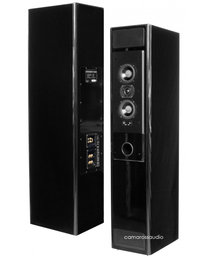 T+A Criterion TB-160 (Transmission line)