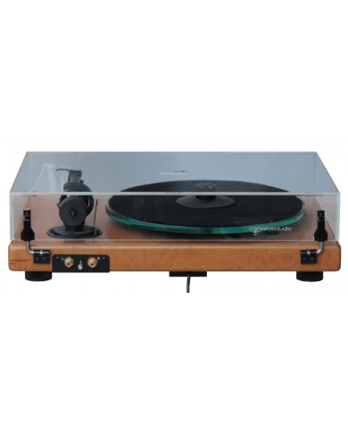 Pro-ject 2.9  Classic Wood Turntable Pro-ject 2.9  Classic Wood Turntable