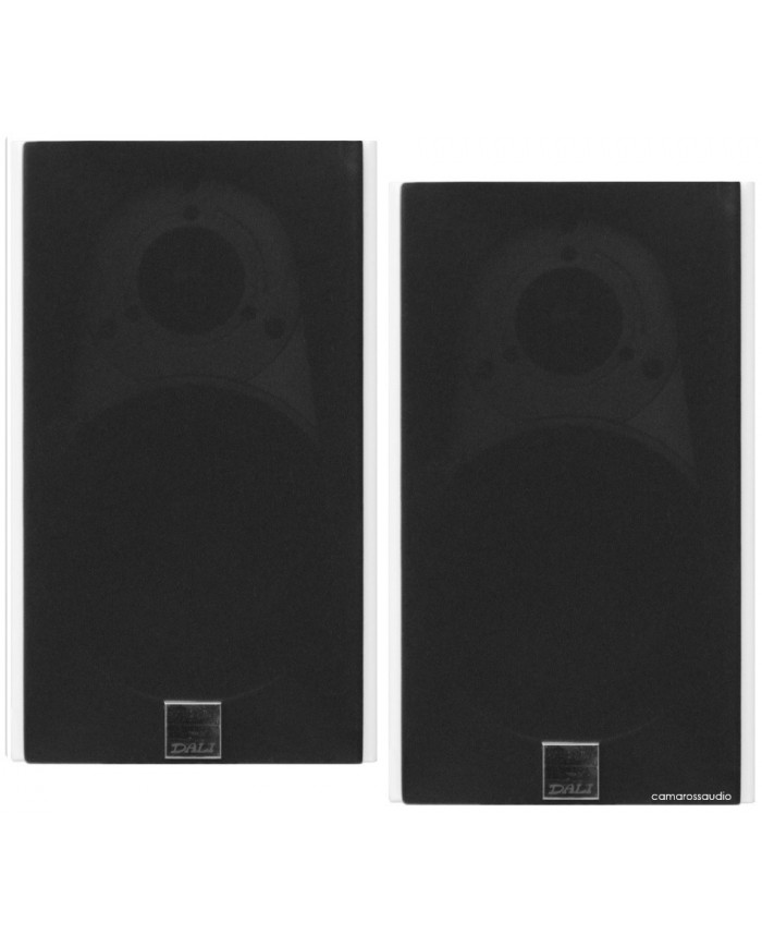 Dali Zensor 1 (Beyaz)