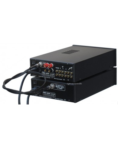 Heed Obelisk si Amplifier & Obelisk X2 Power Supply