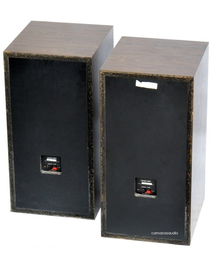 Marantz DMS-250 Digital Monitoring System