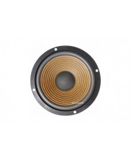 Pioneer HPM 60 ( early version )