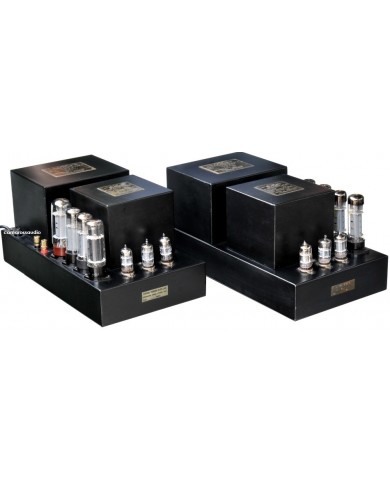 D&B Lab. CT53-A200 Monoblok Power Amplifier ( Class A )