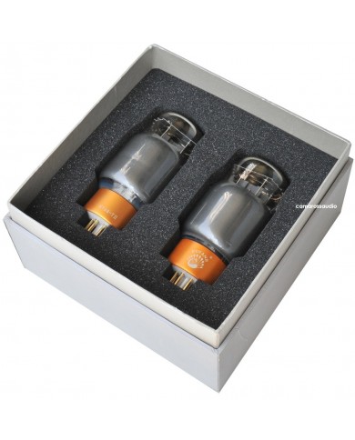Matched Pair Classic Grade Psvane KT88-T Mark II Vacuum Tubes Matched Pair Classic Grade Psvane KT88-T Mark II Vacuum Tubes