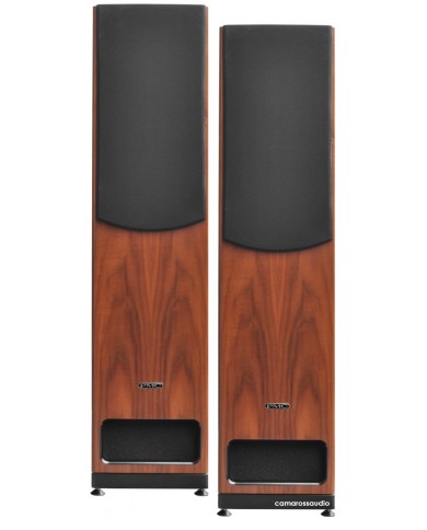 PMC EB1i Reference Speaker (Transmission Line)