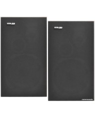 Pioneer HPM 100  Pioneer HPM 100