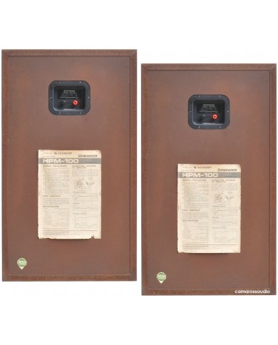 Pioneer HPM 100 