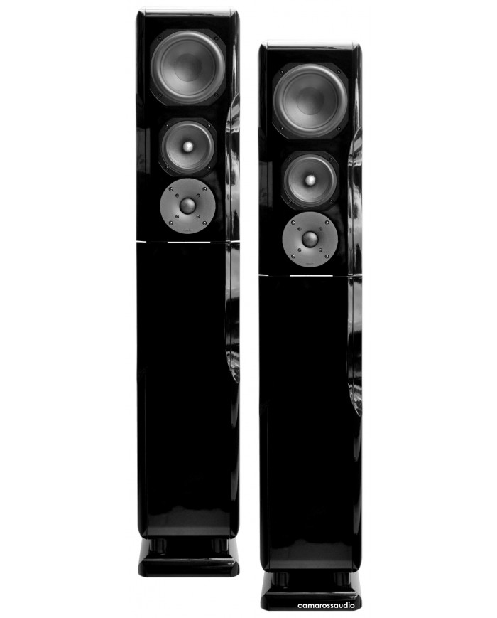 Chario Constellation ursa major