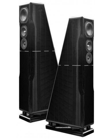 Chario Constellation ursa major