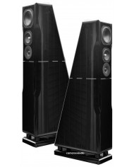 Chario Constellation ursa major