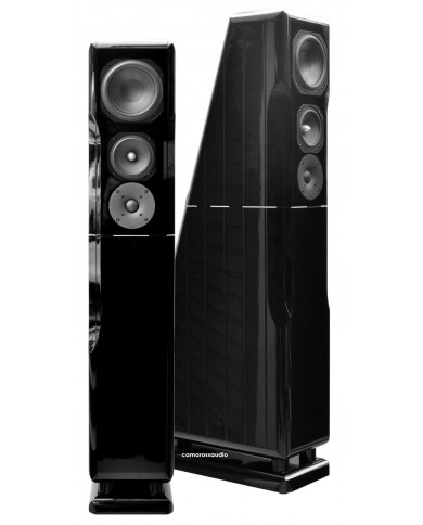 Chario Constellation ursa major