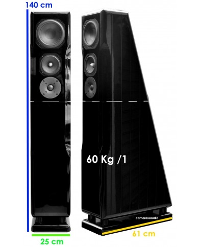 Chario Constellation ursa major