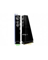 Chario Constellation ursa major