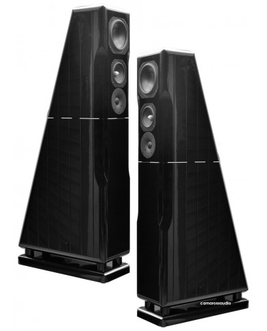 Chario Constellation ursa major