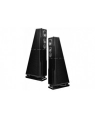 Chario Constellation ursa major