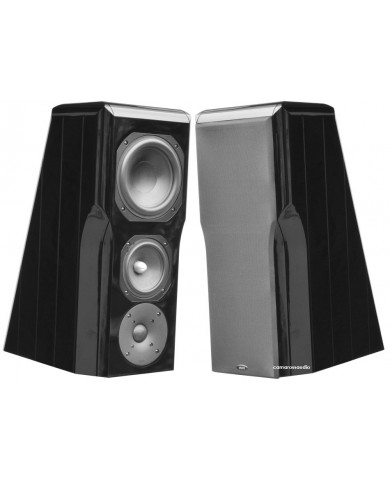 Chario Constellation ursa major