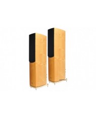 Wharfedale Pasific EVO40 Wharfedale Pasific EVO40