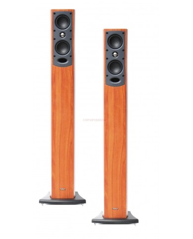 Tannoy HTS 200 Rear