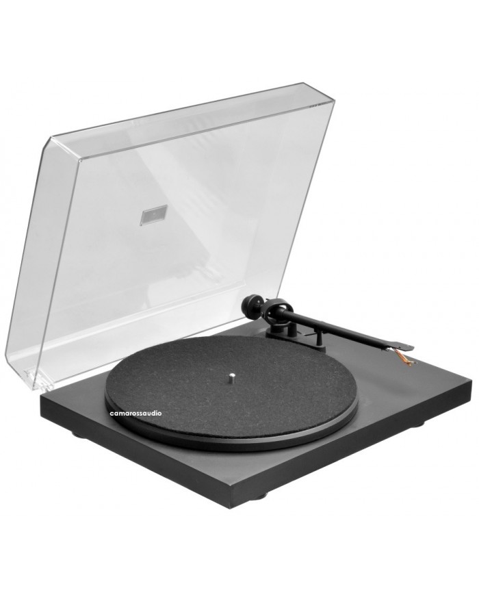 Pro-ject P1.2