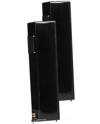 Infinity Renaissance 90 LTD (High gloss piano lack)