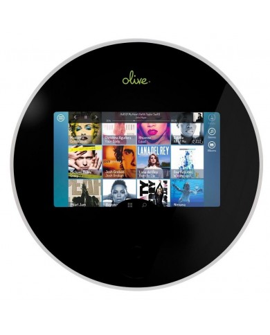 Olive ONE 01-2S All in one (2TB)