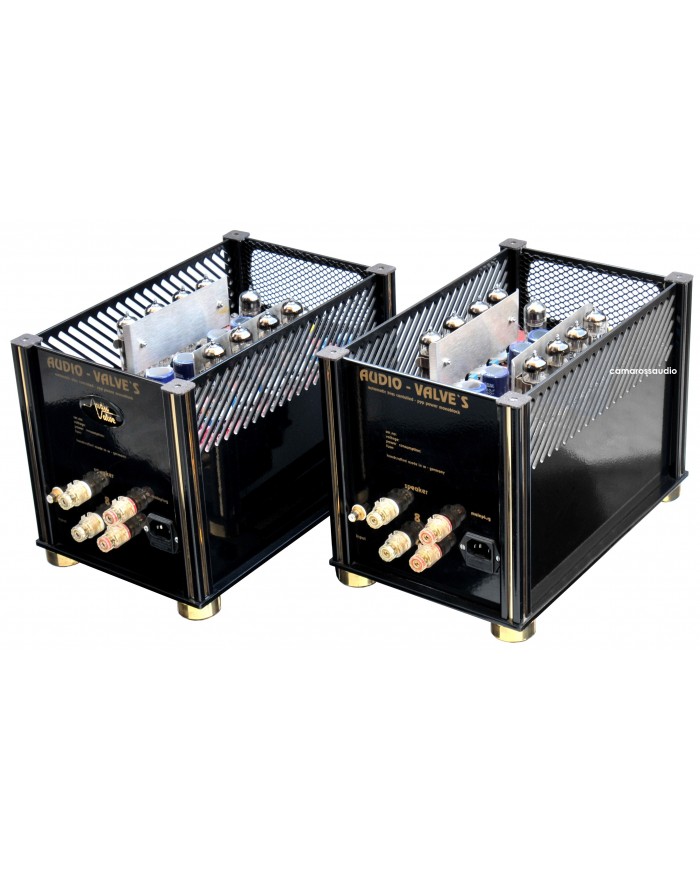 Audio Valve PPP45 Monoblock Amplifier ( Class A )
