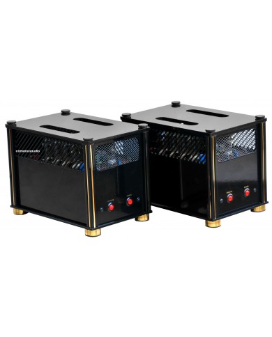 Audio Valve PPP45 Monoblock Amplifier ( Class A )