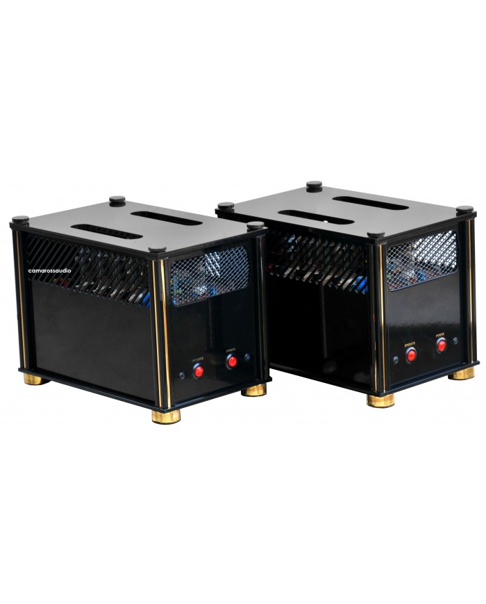 Audio Valve PPP45 Monoblock Amplifier ( Class A )