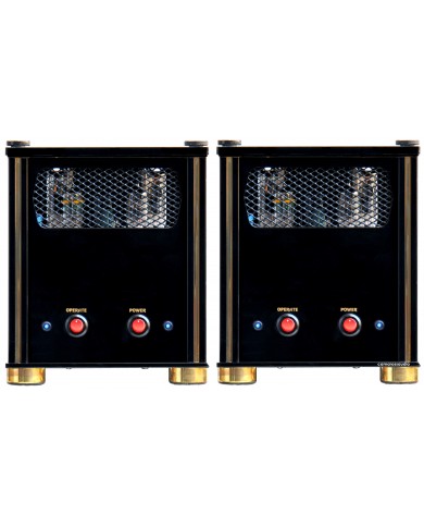 Audio Valve PPP45 Monoblock Amplifier ( Class A )