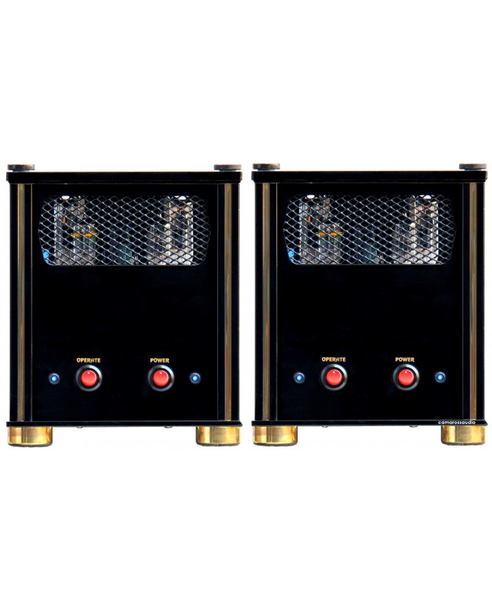 Audio Vlave PPP45 Monoblock Amplifier ( Class A )