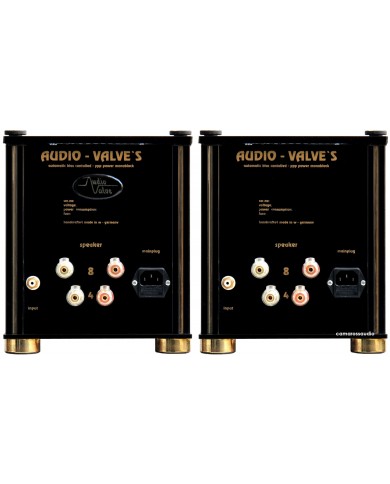 Audio Valve PPP45 Monoblock Amplifier ( Class A )
