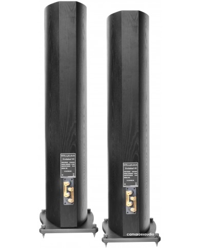 Wharfedale EVO 2-50 rear Wharfedale EVO 2-50 rear