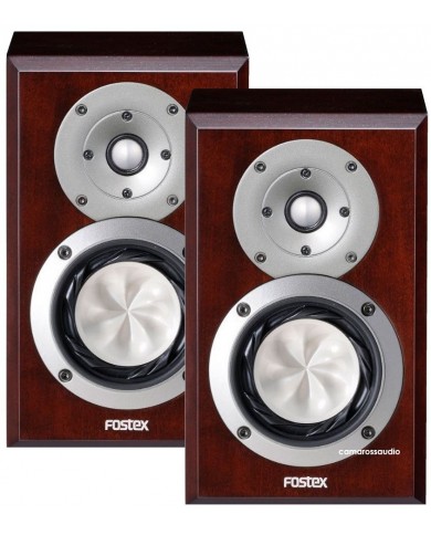 Fostex GX100MA (Box)