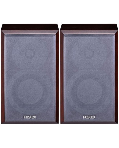 Fostex GX100MA (Box)